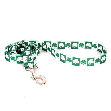 Raining Cats and Dogs | Shamrock Leash, the Perfect St. Patrick's Day Leash
