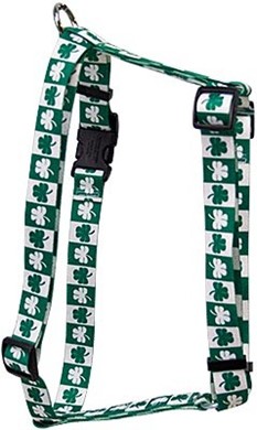 Raining Cats and Dogs l  Shamrock Harness, the Perfect St. Patrick's Day Harness