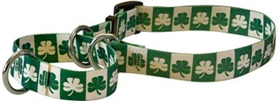 Raining Cats and Dogs | Shamrock Martingale Collar