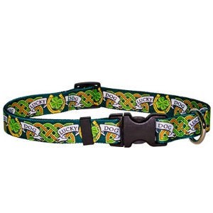 Raining Cats and Dogs | Lucky Dog Collar, an Irish Theme Dog Collar