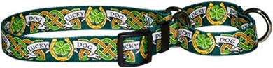 Raining Cats and Dogs | Lucky Dog Martingale Collar, an Irish Theme Collar