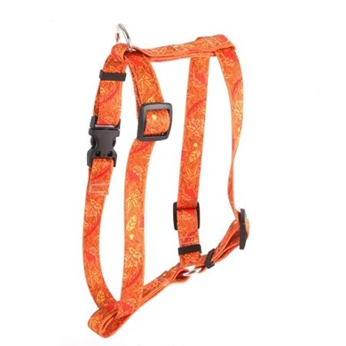 Raining Cats and Dogs | Autumn Leaves Harness