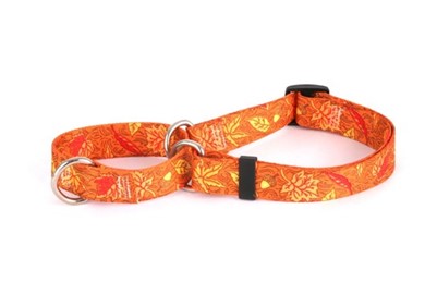 Raining Cats and Dogs | Autumn Leaves Martingale Collar