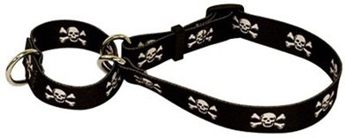 Raining Cats and Dogs | SKull Print Martingale Collar