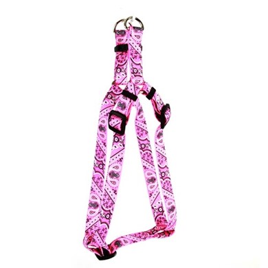 Raining Cats and Dogs |Bandana Step-In Harness
