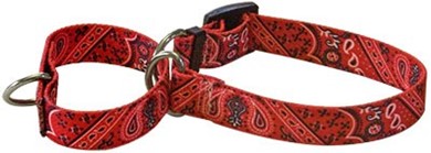 Raining Cats and Dogs | Bandana Print Martingale Collar