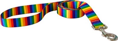 Raining Cats and Dogs | Rainbow Stripes Leash