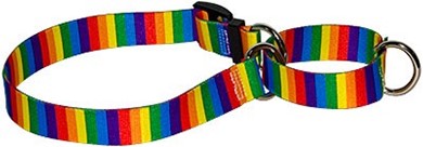 Raining Cats and Dogs | Rainbow Stripes Martingale Collar