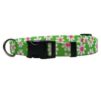 Raining Cats and Dogs | Green Daisy Collar