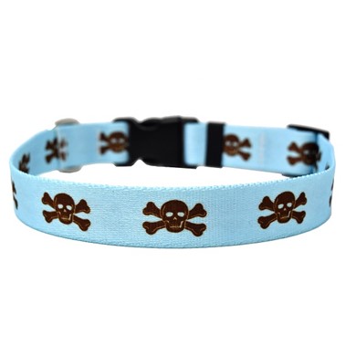 Raining Cats and Dogs | Skull Collar