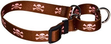 Raining Cats and Dogs | Skulls Martingale Collar