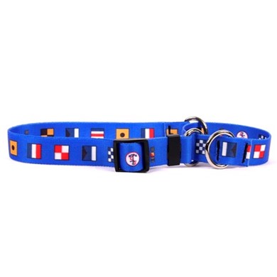 Raining Cats and Dogs | Nautical Dog Martingale Collar