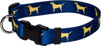 Raining Cats and Dogs | Yellow Labs Collar