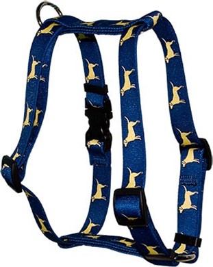 Raining Cats and Dogs | Yellow Labs Harness