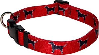 Raining Cats and Dogs | Black Labs Collar