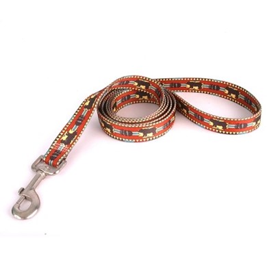 Raining Cats and Dogs | Bear Lodge Leash