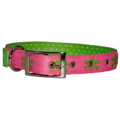Raining Cats and Dogs | Uptown Pink and Green Skulls Buckle Collar