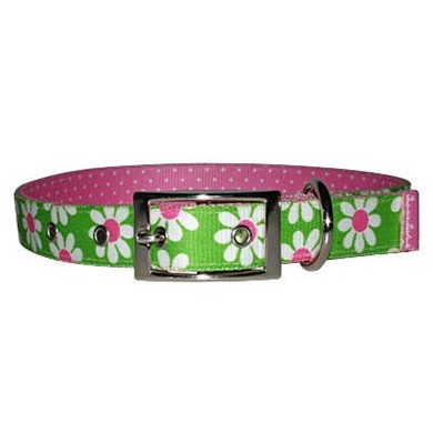 Raining Cats and Dogs | Uptown Green Daisy Buckle Collar