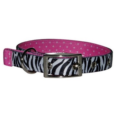 Raining Cats and Dogs | Uptown Black Zebra Buckle Collar