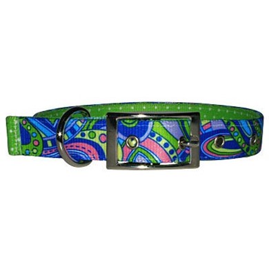 Raining Cats and Dogs | Uptown Mod Buckle Collar