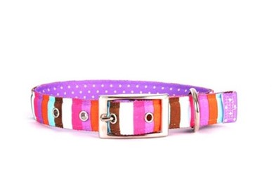 Raining Cats and Dogs | Uptown Multi-Stripe Buckle Collar