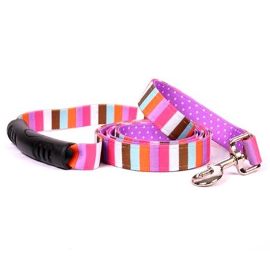 Raining Cats and Dogs | Uptown Multi-Stripe Leash