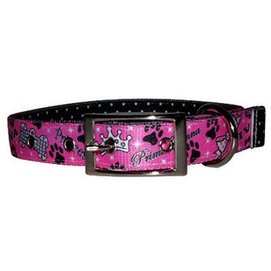 Raining Cats and Dogs | Uptown Diva Dog Buckle Collar