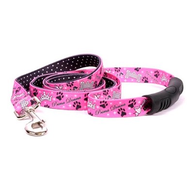 Raining Cats and Dogs | Uptown Diva Dog Leash