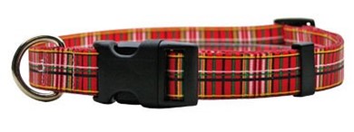 Raining Cats and Dogs | Tartan Collar