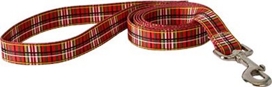 Raining Cats and Dogs | Tartan Leash