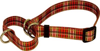 Raining Cats and Dogs | Tartan Martingale Collar