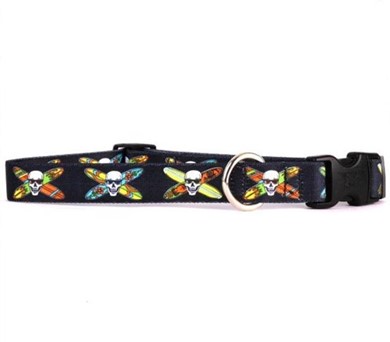 Raining Cats and Dogs | Longboard Skulls Collar