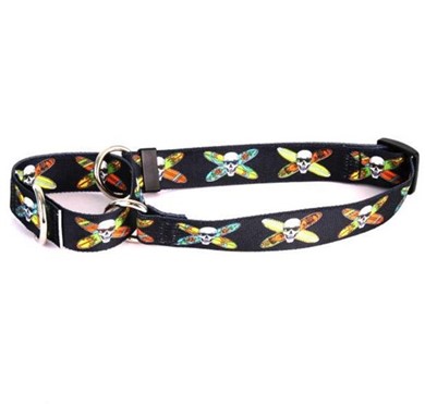 Raining Cats and Dogs | Longboard Skulls Martingale Collar