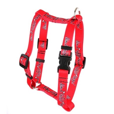 Raining Cats and Dogs | I'm a Good Dog Harness