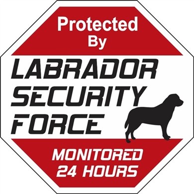 Raining Cats and Dogs | Labrador Retriever Security Force Sign