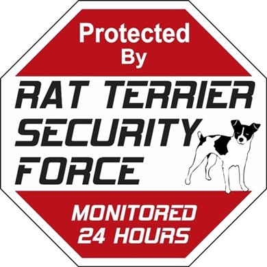 Raining Cats and Dogs | Rat Terrier Security Force Sign