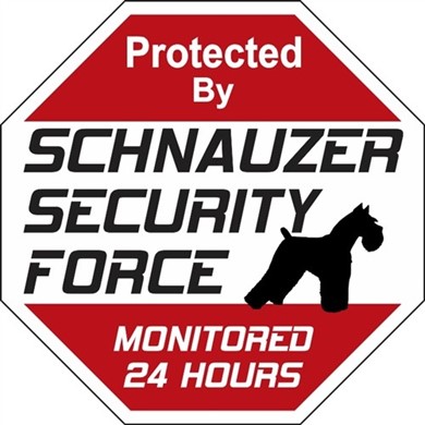 Raining Cats and Dogs | Schnauzer Security Force Sign
