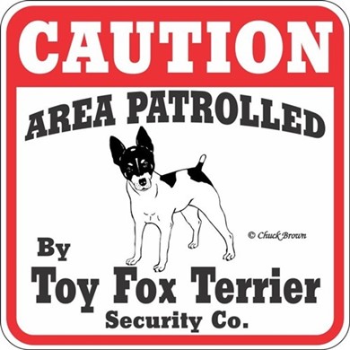 Raining Cats and Dogs | Toy Fox Terrier Cution Sign