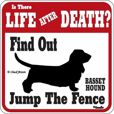 Raining Cats and Dogs | Basset Hound Jump the Fence Sign