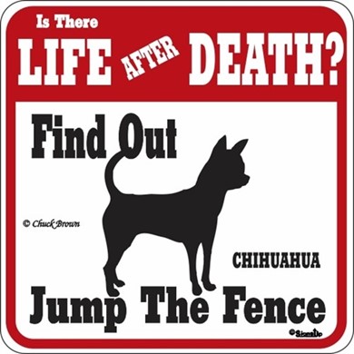Raining Cats and Dogs | Chihuahua Jump the Fence Sign