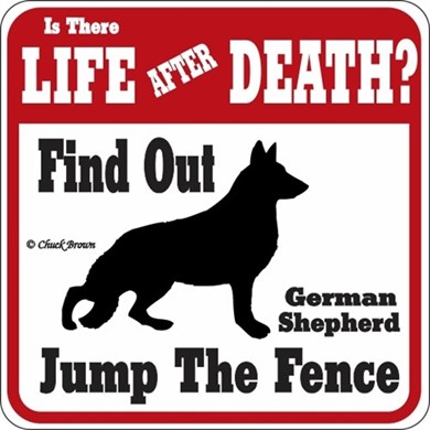 Raining Cats and Dogs | German Shepherd Jump the Fence Sign
