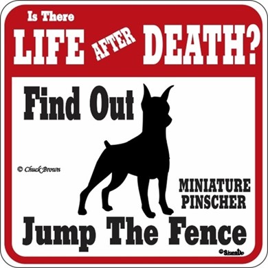 Raining Cats and Dogs | Miniature Pinscher Jump the Fence Sign