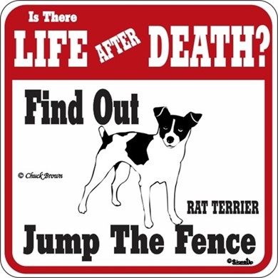 Raining Cats and Dogs | Rat Terrier Jump the Fence Sign