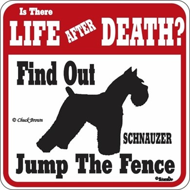 Raining Cats and Dogs | Schnauzer Jump the Fence Sign