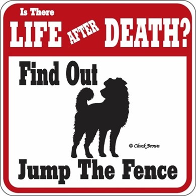 Raining Cats and Dogs | Dog Jump the Fence Sign