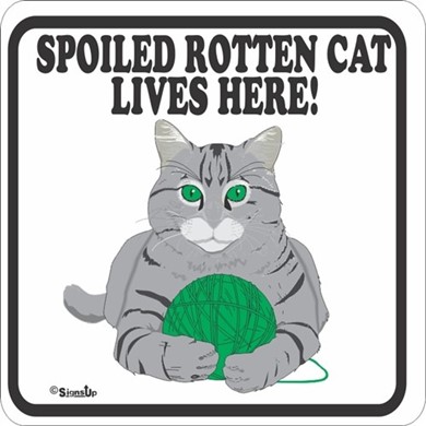 Raining Cats and Dogs | Spoiled Cat Sign