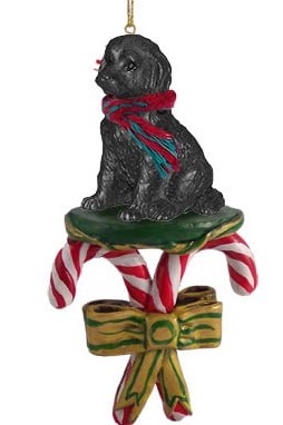 Raining Cats and Dogs | Candy Cane Labradoodle Dog Christmas Ornament