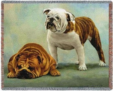 Raining Cats and Dogs | Bulldog Throw Blanket, Made in the USA