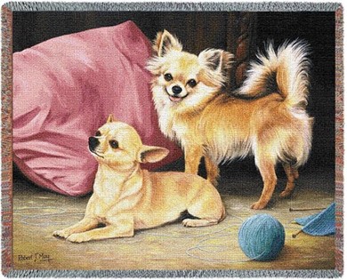 Raining Cats and Dogs | Chihuahua Throw Blanket, Made in the USA