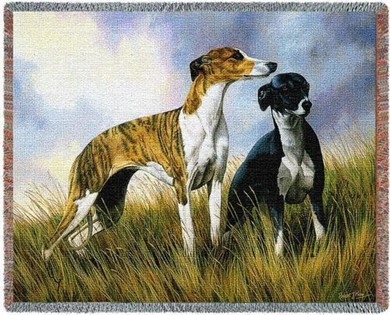 Raining Cats and Dogs | Greyhounds Throw Blanket, Made in the USA